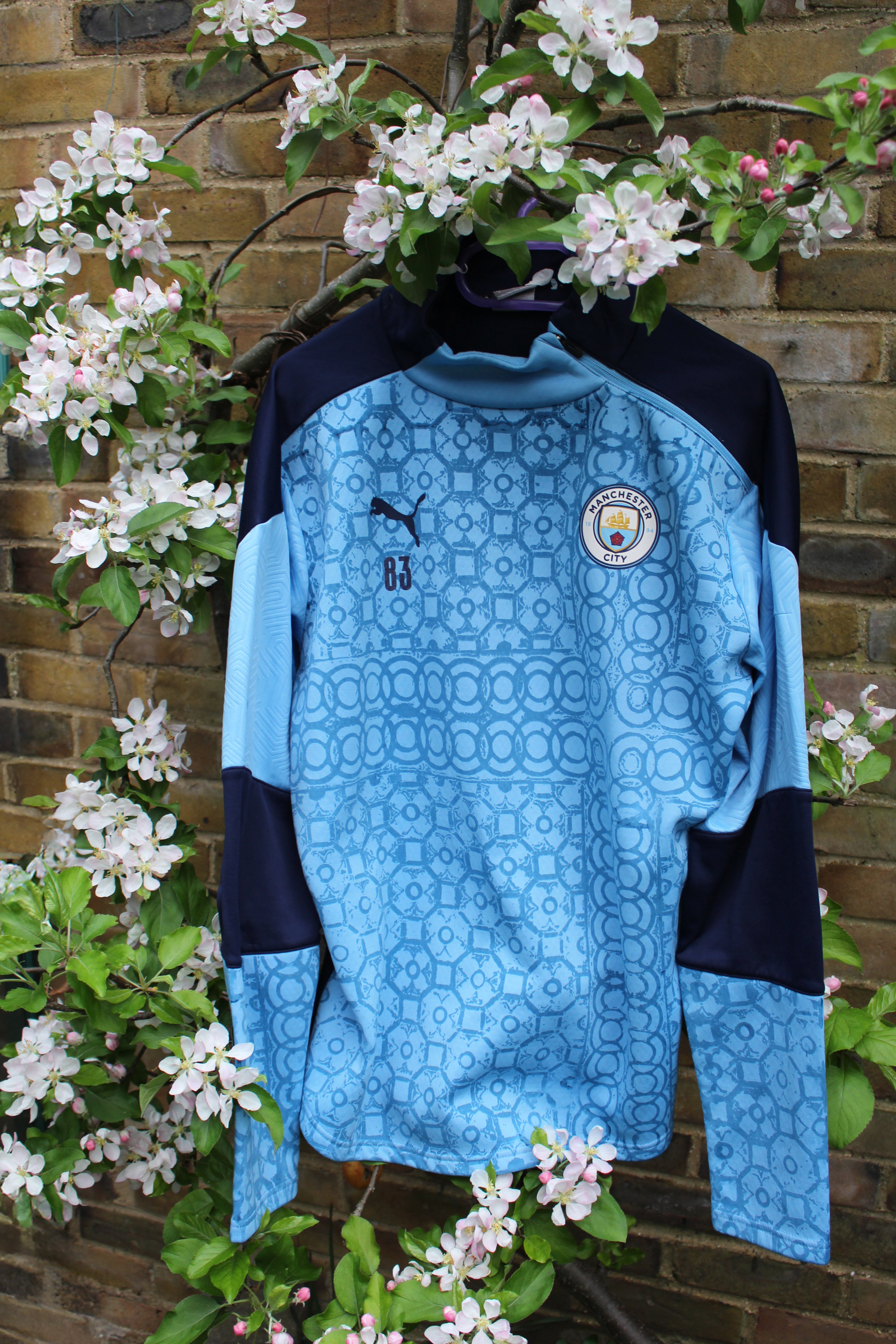 Custom Man City 2020/21 Puma Training top