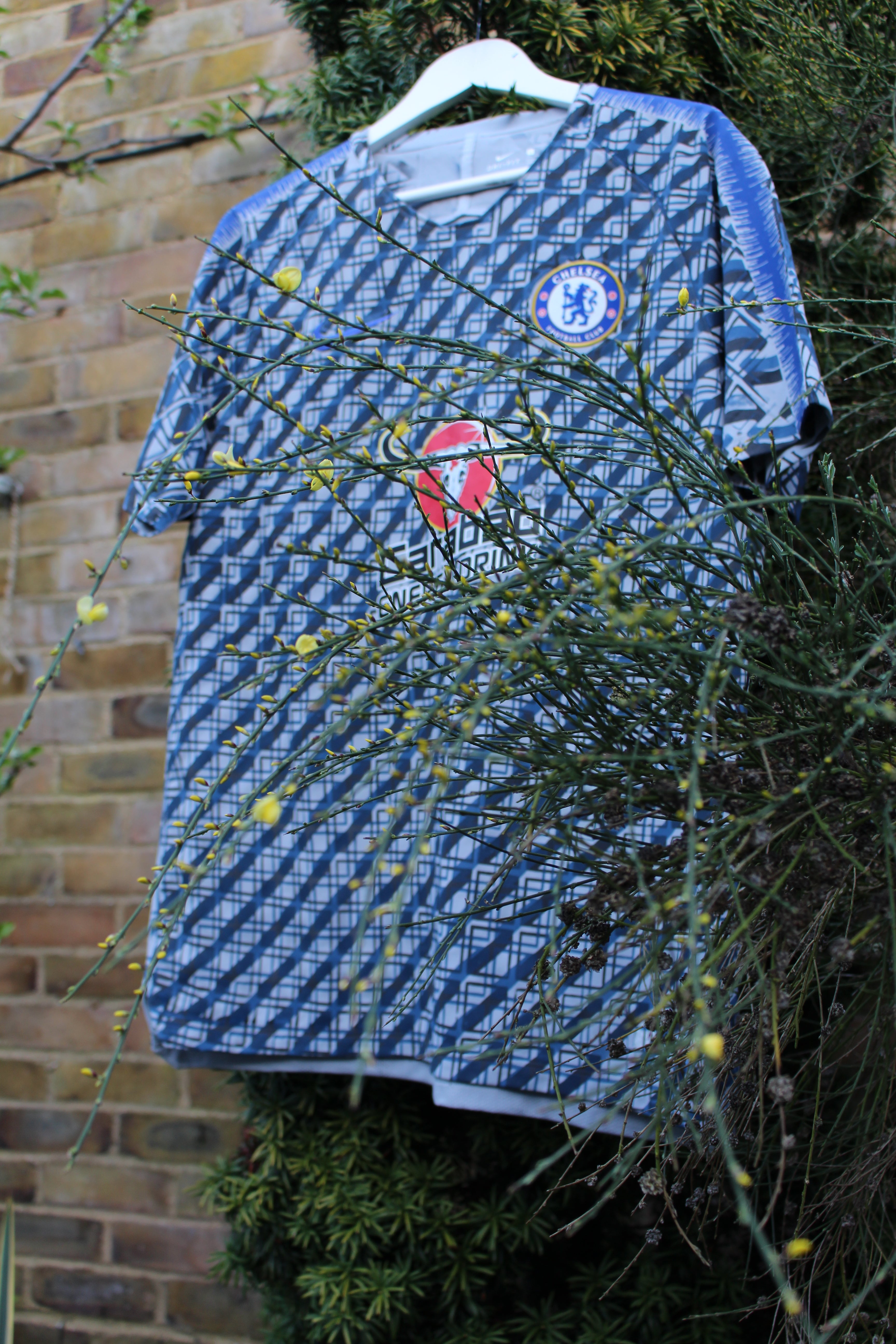 Custom Chelsea 2018/19 Training Jersey